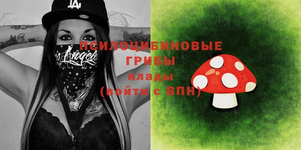 ГАЛЛЮЦИНОГЕННЫЕ ГРИБЫ Алексеевка