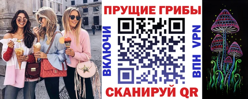 МЕГА зеркало Михайловск Псилоцибиновые грибы мухоморы